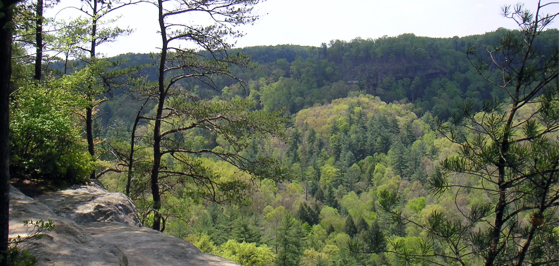 2006 Spring Photo Contest EntryRed River GorgeDevil's Gorge