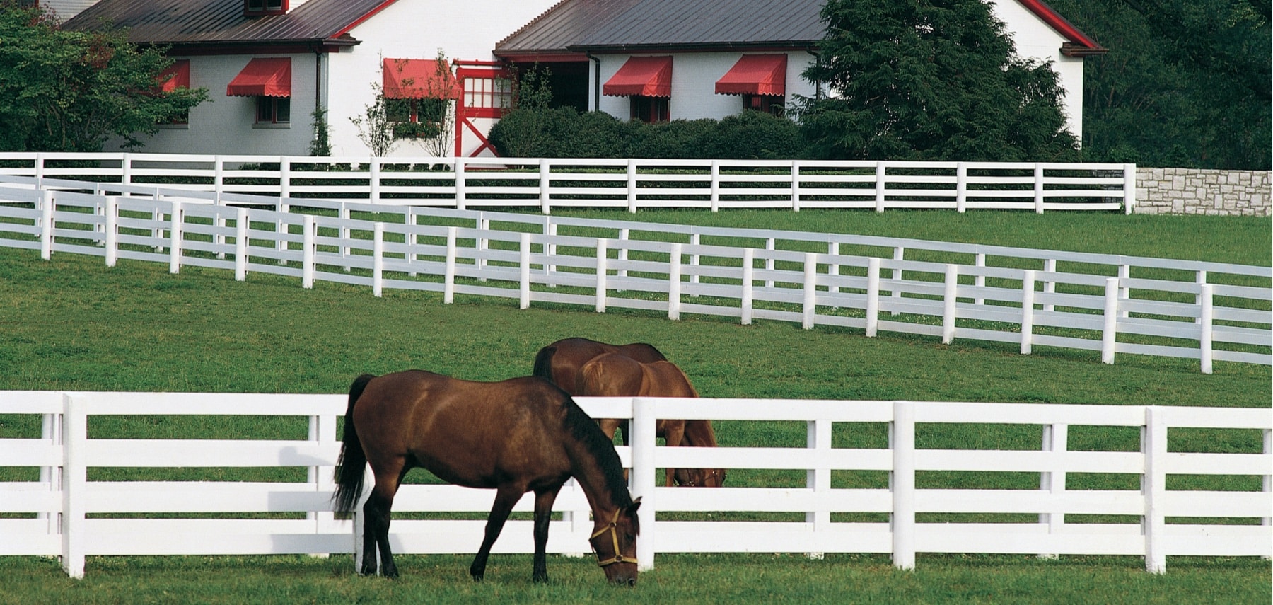 NEWCALBARN.tif