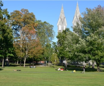 Image : Brunswick