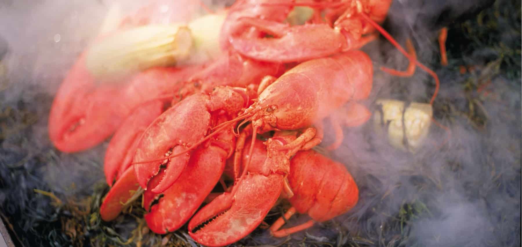 Maine-Gastronomie-H