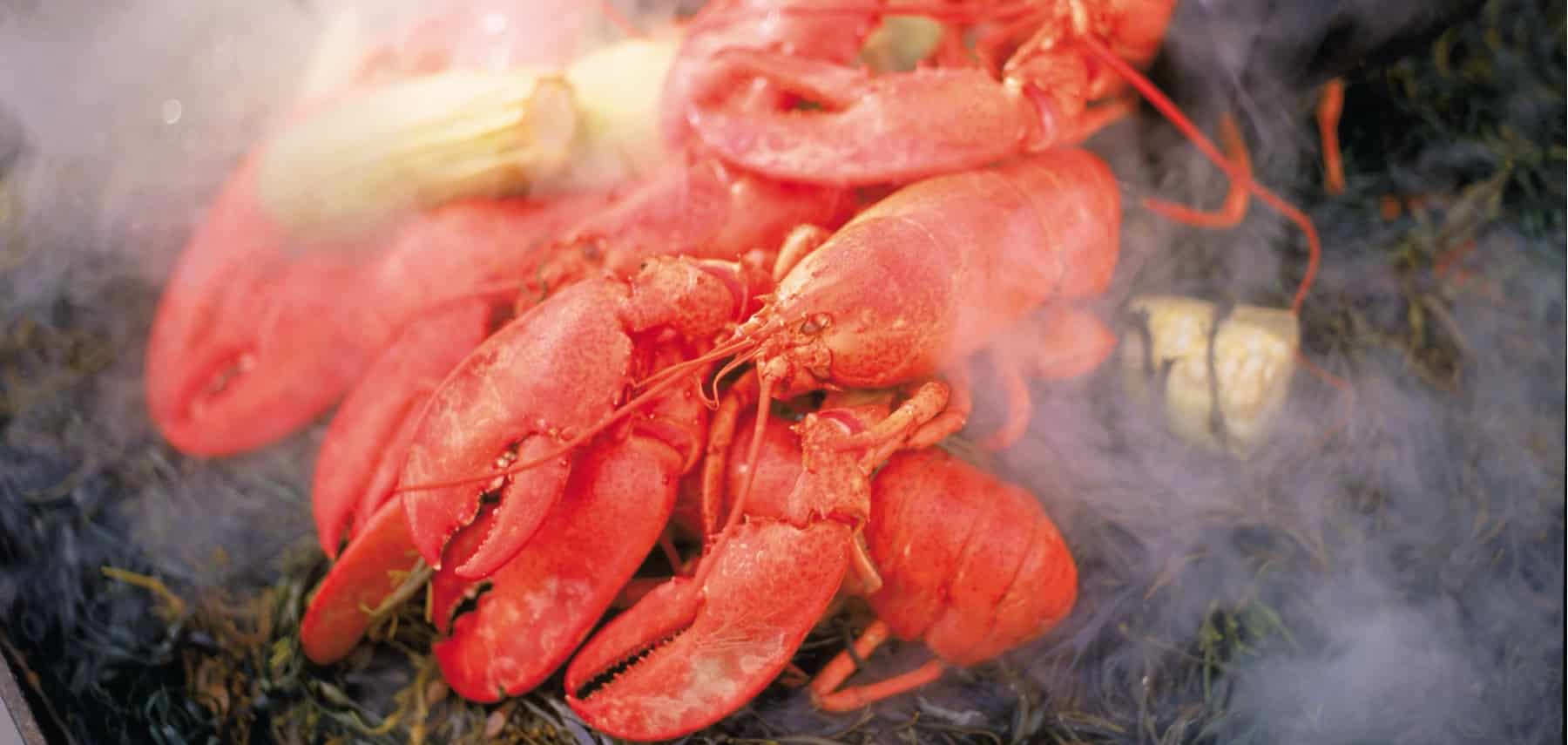 Maine-Specialites-Locales-Homard