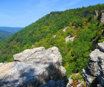 Image : Allegheny Mountains