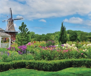 Image : Holland