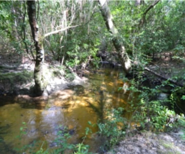 Image : Black Creek National Scenic River