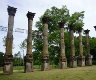 Image : Windsor Plantation