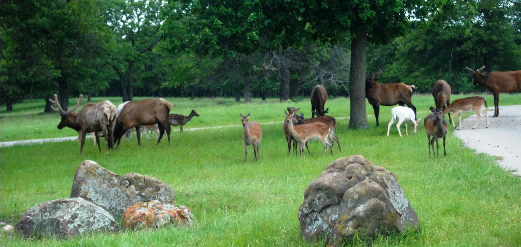 Oklahoma-Ranchs-Bartlesville