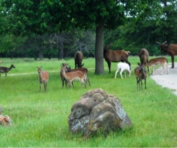 Image : Séjourner dans un ranch en Oklahoma