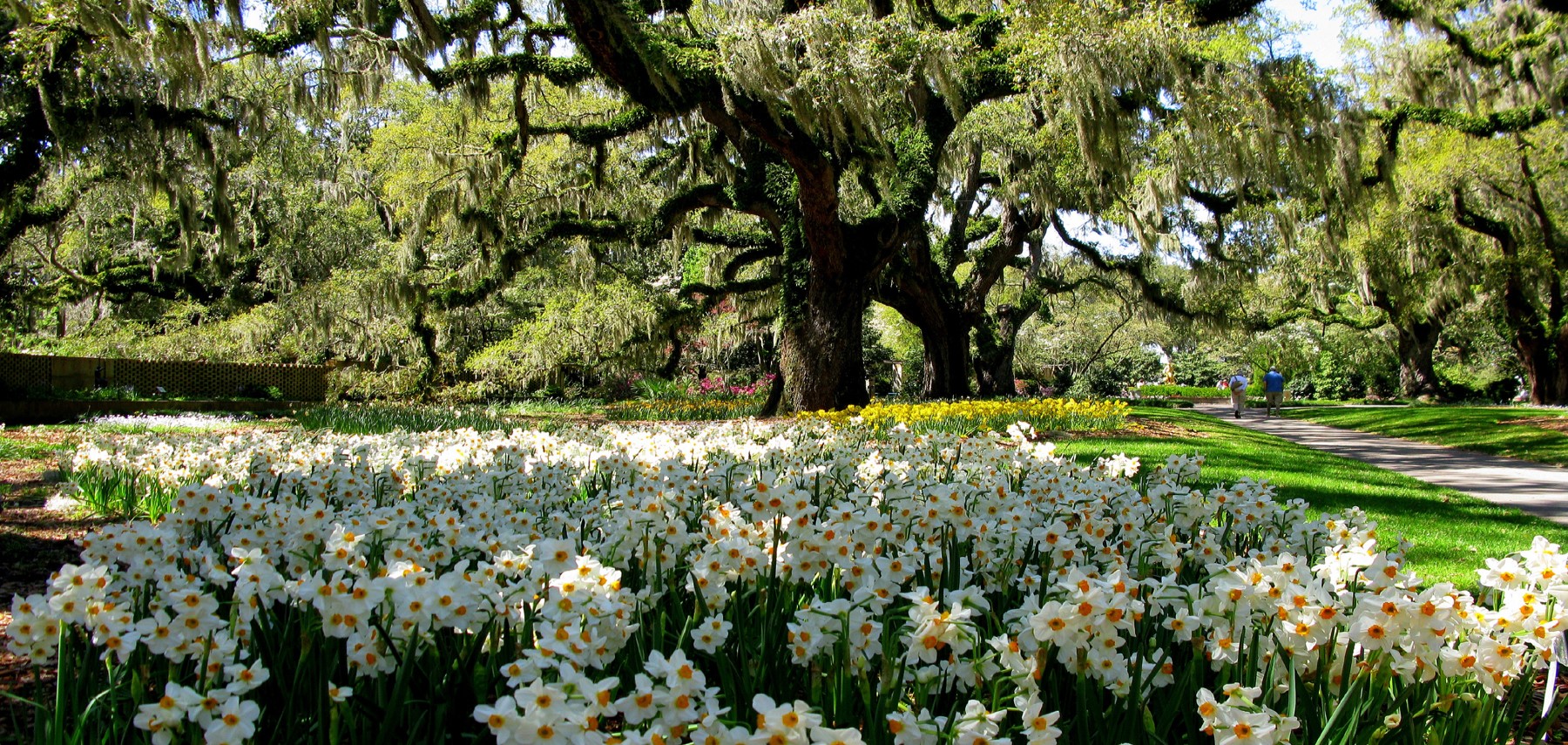South-Carolina-Brookgreen-Gardens