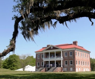 Image : Drayton Plantation