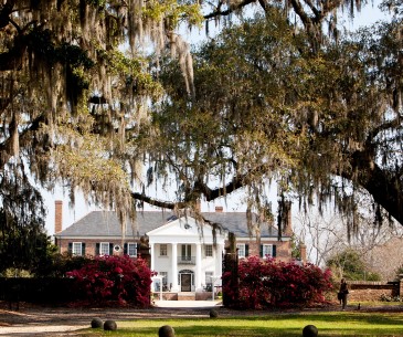 Image : Boone Hall Plantation and Gardens
