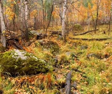 Image : Les Black Hills