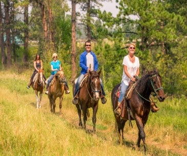 Image : Les balades à cheval