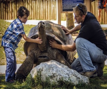 Image : Reptile Gardens