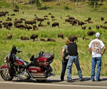 Sturgis Motorcycle Rally