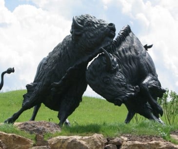 Image : Tatanka