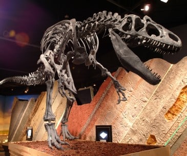 Image : The journey Museum