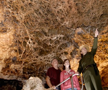 Image : Wind Cave National Park