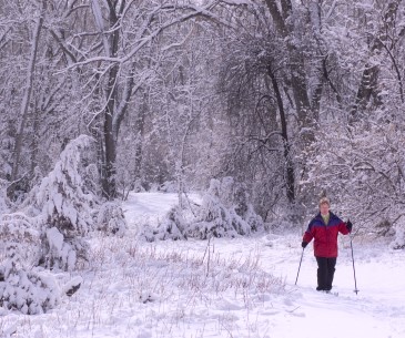 Image : Les sports d'hiver