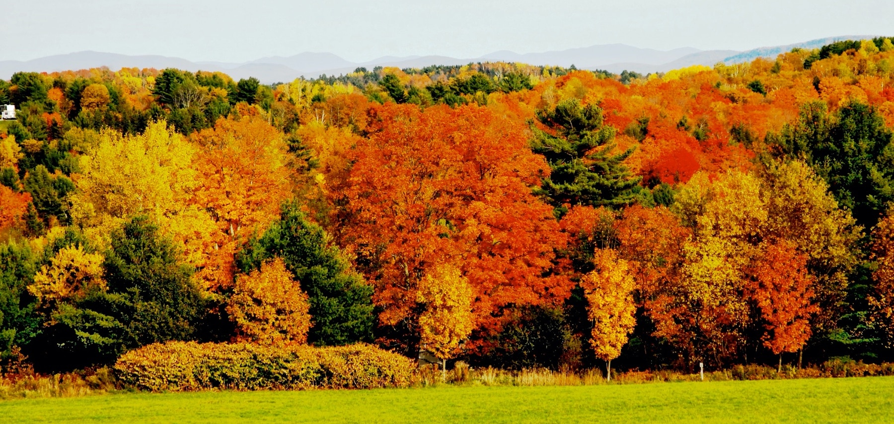 Vermont-Montpelier-Jim-Eaton