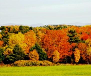Image : Montpelier