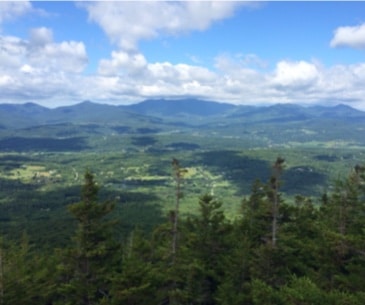 Image : Putnam State Forest