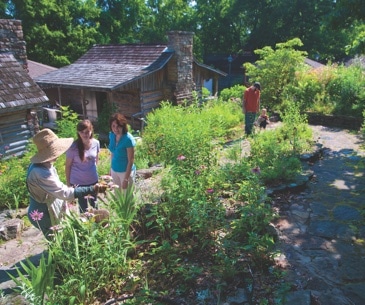 Image : Ozark Folk Center State Park