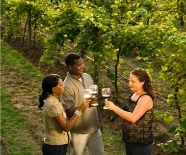 Image : Arkansas Wine Trail