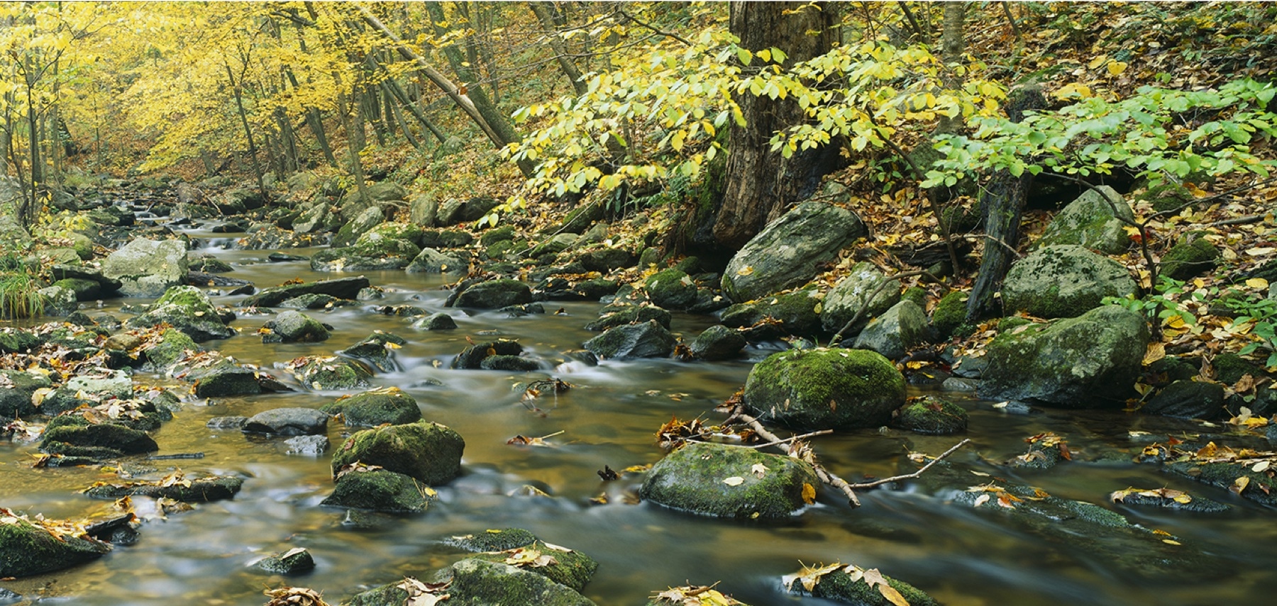 Connecticut-Macedonia-Brook-State-Park-H