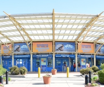 Image : Mystic Aquarium and Institute for Exploration