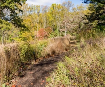 Image : Delaware Outdoor Trail
