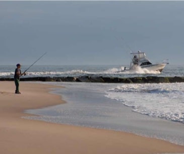 Image : Delaware Seashore State Park
