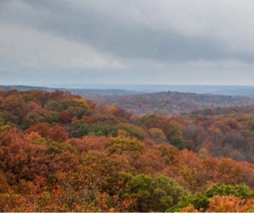 Hoosier National Forest