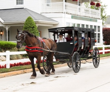 Image : La culture Amish