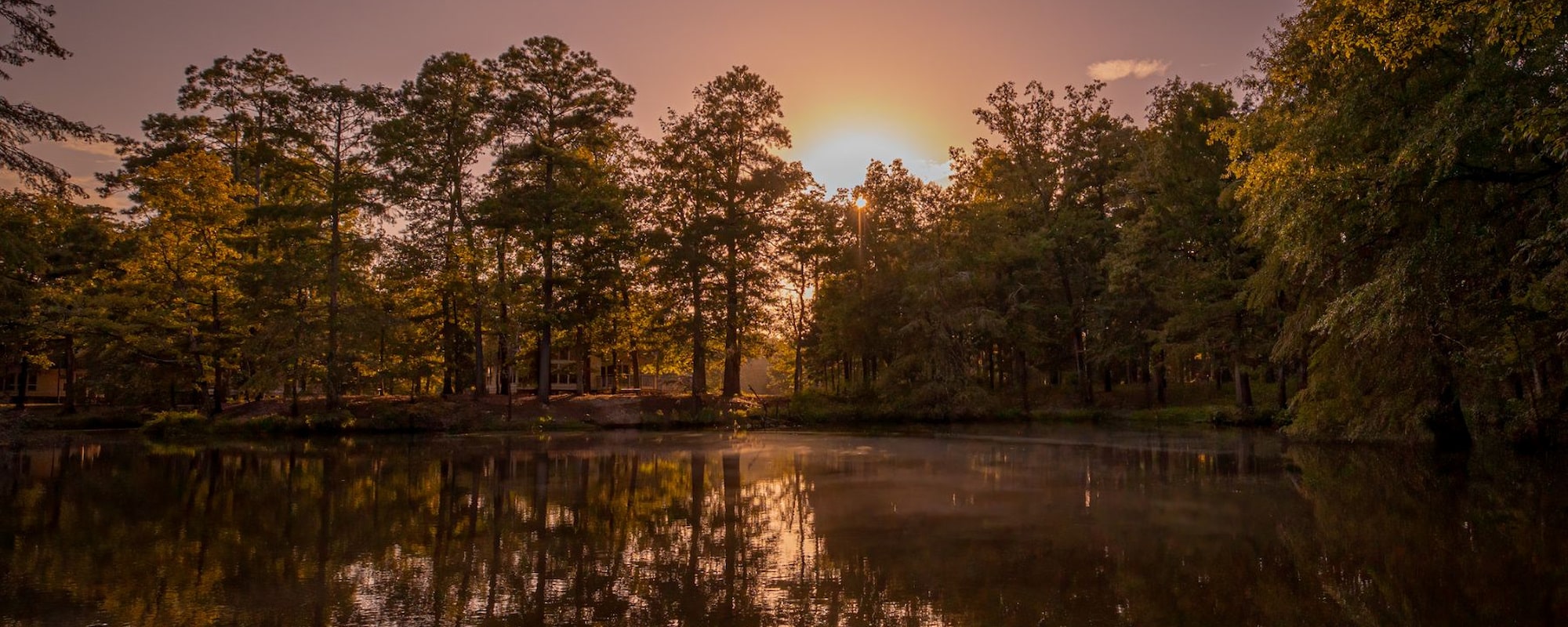 Louisiane 2 2000x800