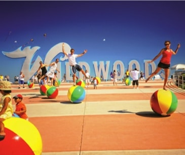 Image : Wildwood