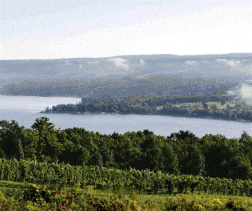 Image : Finger Lakes region