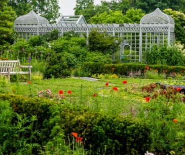 Image : Snug Harbor Cultural Center