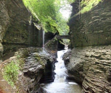 Image : Watkins Glen State Park