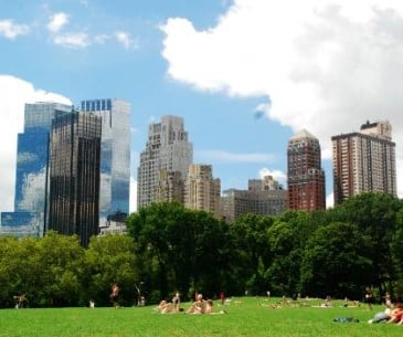 Image : Central Park