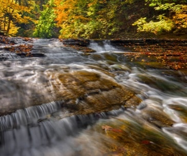 Image : Cuyahoga Valley National Park