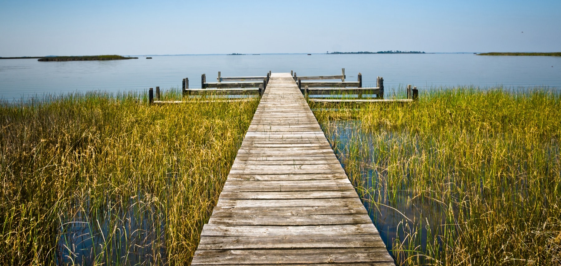 False Cape State Park