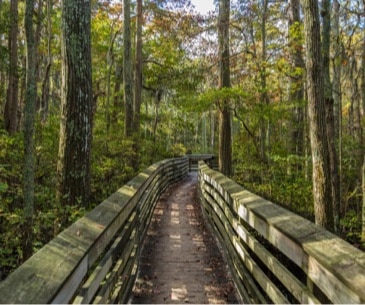 Image : First Landing State Park