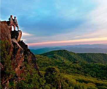 Image : Shenandoah National Park