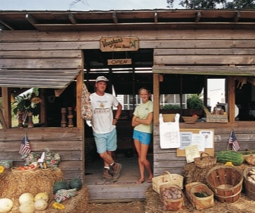 Image : Virginia Beach Farmers Market