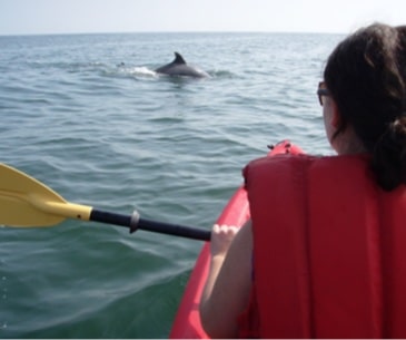 Image : Kayak avec les dauphins à Virginia Beach
