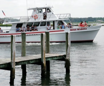 Image : Les tours en bateau en hiver