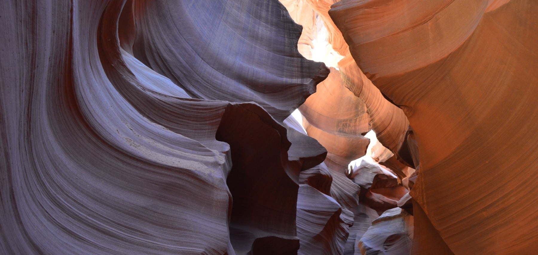 Arizona-Antelope