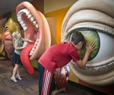 Image : Children's Museum Oro Valley
