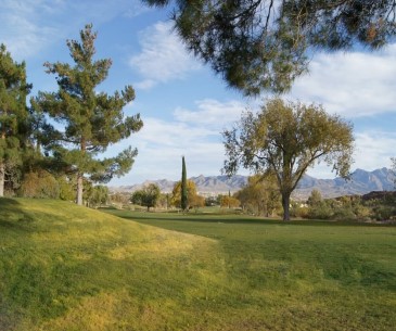 Image : Kingman