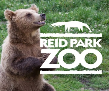 Image : Reid Park Zoo
